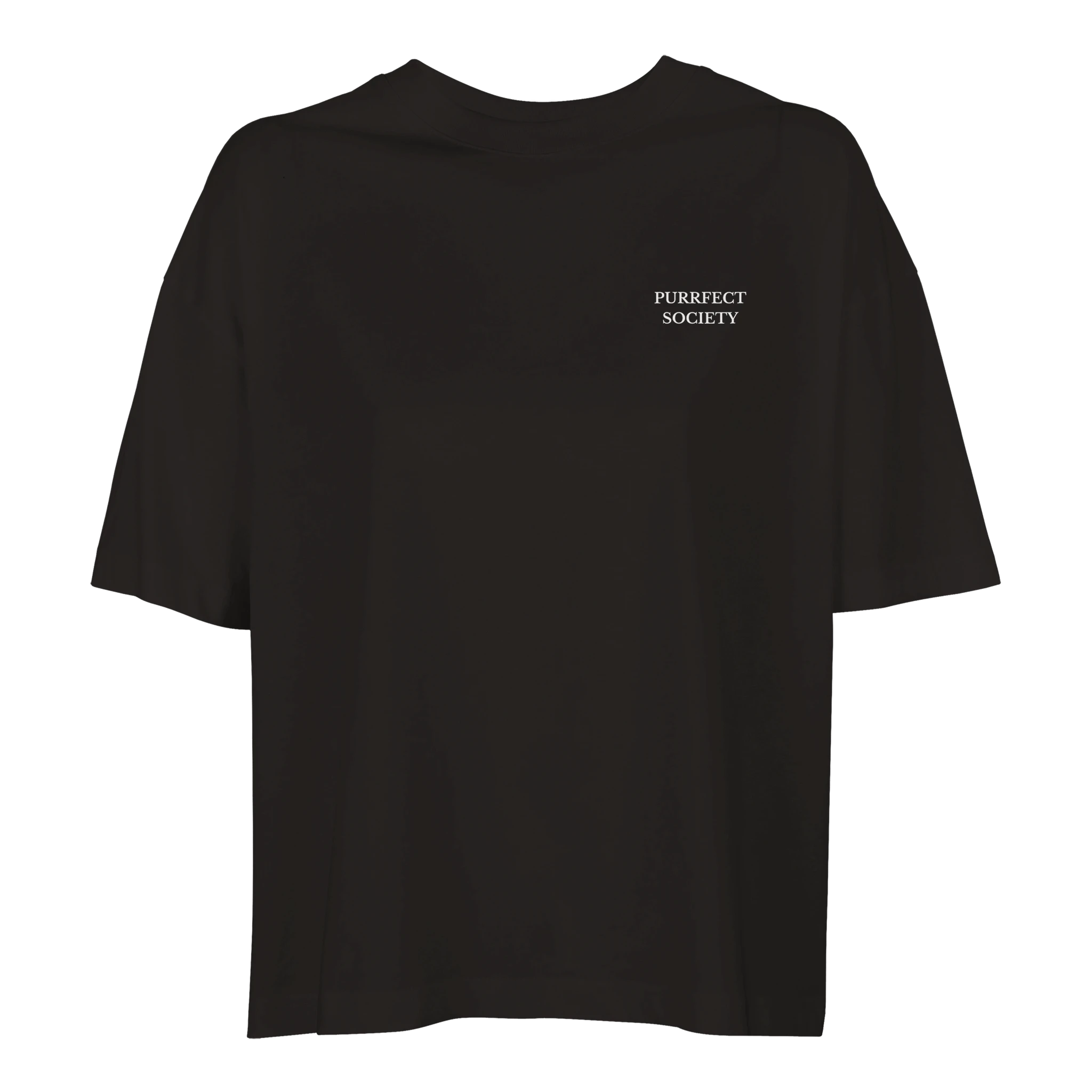 oversized women’s cat shirt crazy cat lady graphic tee 